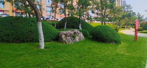 临沂市卧虎山公园 加强绿化精致管养，扮靓城区迎五一