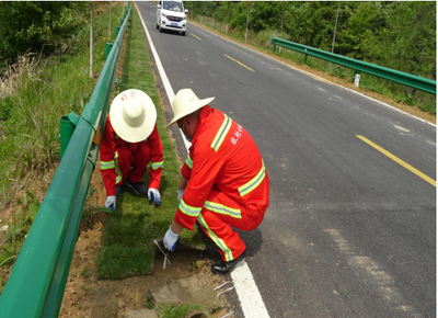 永佳河镇 强化“四好农村路”沿线绿化管理 打造生态宜居美丽廊道