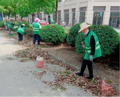 城管局扎实开展春季绿化养护 全面提升城市绿化管理水平