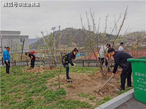 八道沟人民法庭开展庭院绿化活动，助力“加强管理年”落实绿化管理
