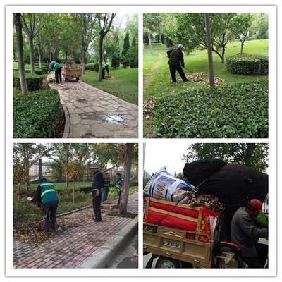 县住建局“三举措”抓好秋季绿化养护工作
