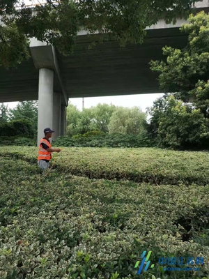 锡山城管局积极做好夏季绿化养护工作，全面提升绿化管理水平